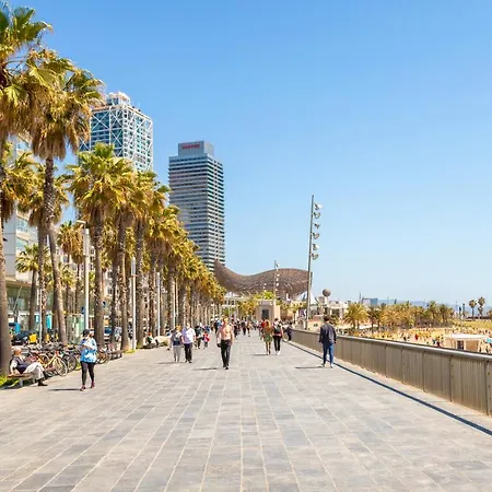Penthouse With Rooftop In The Barceloneta - Barcelona