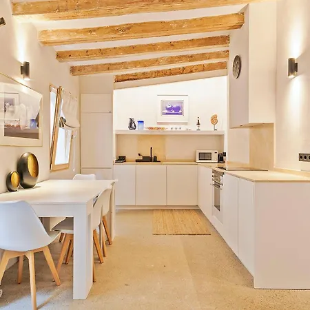 Appartement Penthouse With Rooftop In The Barceloneta -